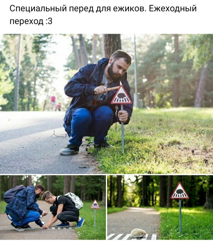 Специальный перед для ежиков Ежеходный переход 3 г 3