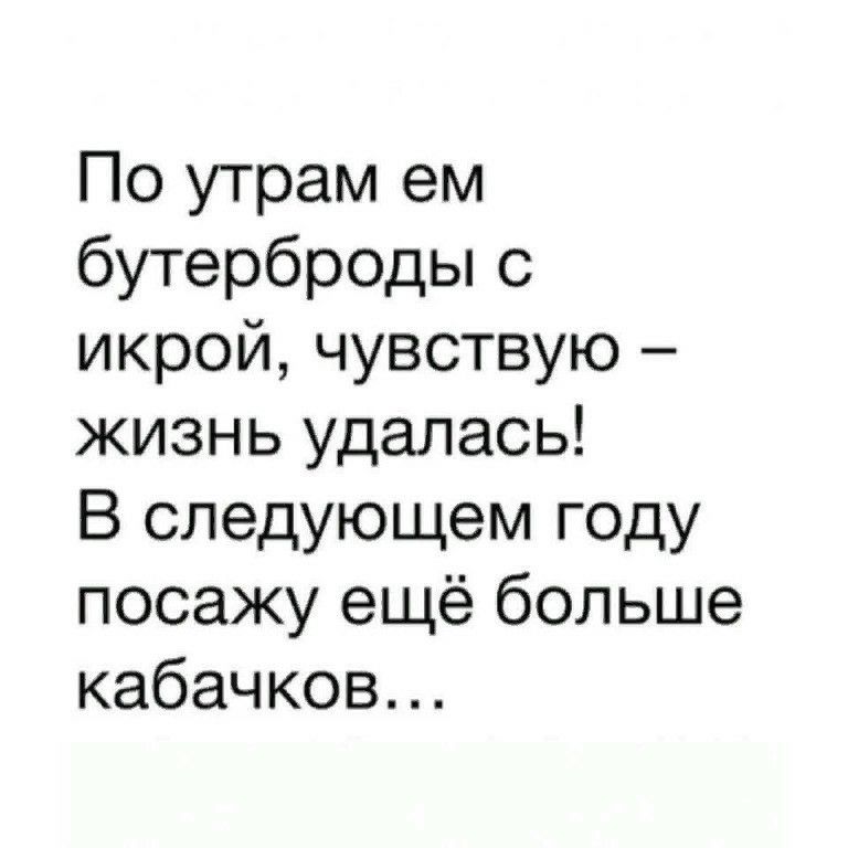 По утрам ем бутерброды с икрой чувствую жизнь удалась В следующем году посажу ещё больше кабачков