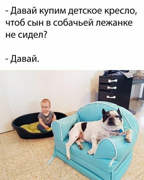 Давай купим детское кресло чтоб сын в собачьей лежанке не сидел Давай