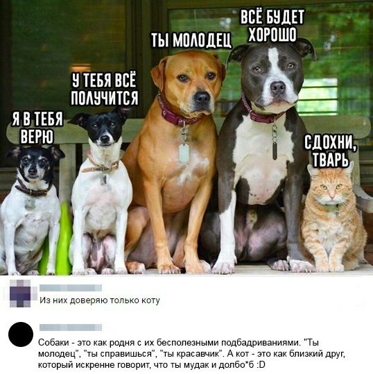 ВСЁ БНДЕТ ТЫ МПАПДЕЦ ХПРПШП БТЕБЯ ВСЁ _ ПОШЧИТБЯ я в тыл сдихии Мипидб ч ду этишблизшддрчп