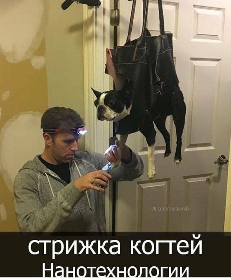 стрижка когтей _Наншхнашци