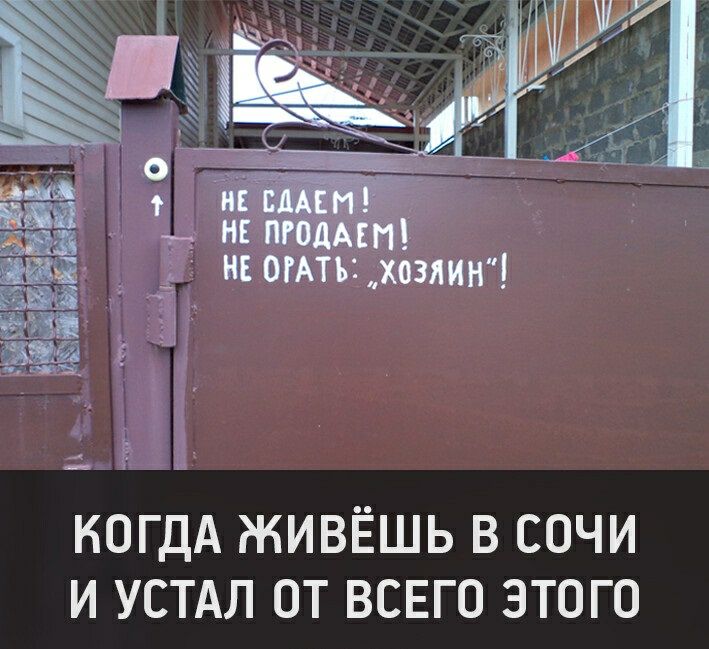 КОГДА ЖИВЁШЬ В СОЧИ И УСТАЛ ОТ ВСЕГО ЭТОГО