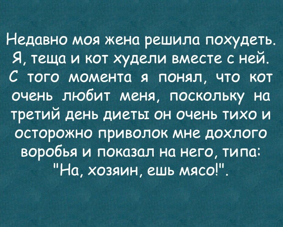 Недавно моя жена решила похудеть Я теща и кот худели вместе с ней С того момента я понял что кот очень любит меня поскольку на третий день диеты он очень тихо и осторожно приволок мне дохлого воробья и показал на него ти па На хозяин ешь мясо