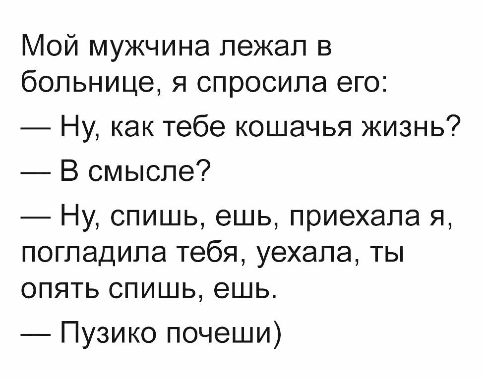 Мой мужчина лежал в больнице я спросила его Ну как тебе кошачья жизнь В смысле Ну спишь ешь приехала я погладила тебя уехала ты опять спишь ешь Пузико почеши