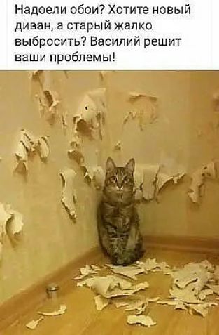 Надоели обои Хотите новый ДИВВН а старый ЖаПКО выбросить Василий решит ваши проблемы