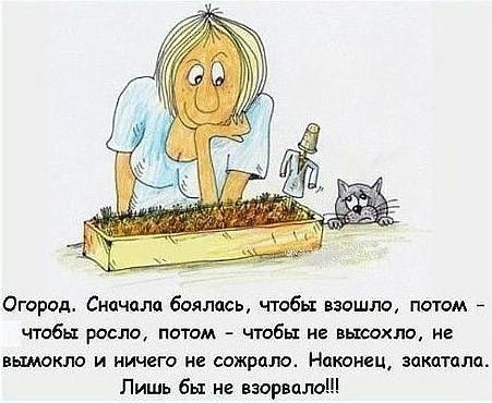Огород Сначала боялась чтобы взошло потм чтобы росло лотам чтобы не вьюехло не вымакпо и иичгга не сожрала Наконец закатила Лишь бы не взорвал