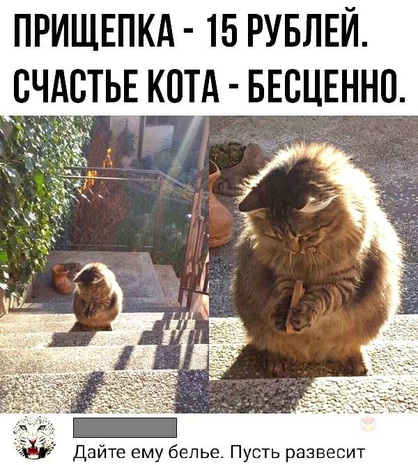 ПРИЩЕПКА 15 РУБЛЕЙ СЧАСТЬ котд БЕВЦЕННО и Дайте ему белье Пусть развесит