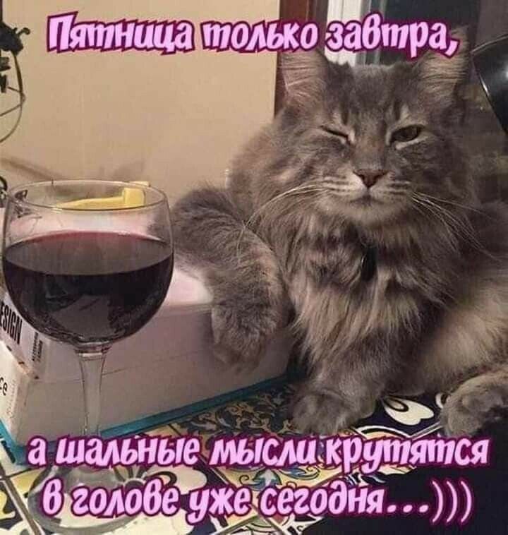 45 __ 131 _ ____с ъХ а ШМЫЬМЫСАЁКР _ЧЩЯПСЯ