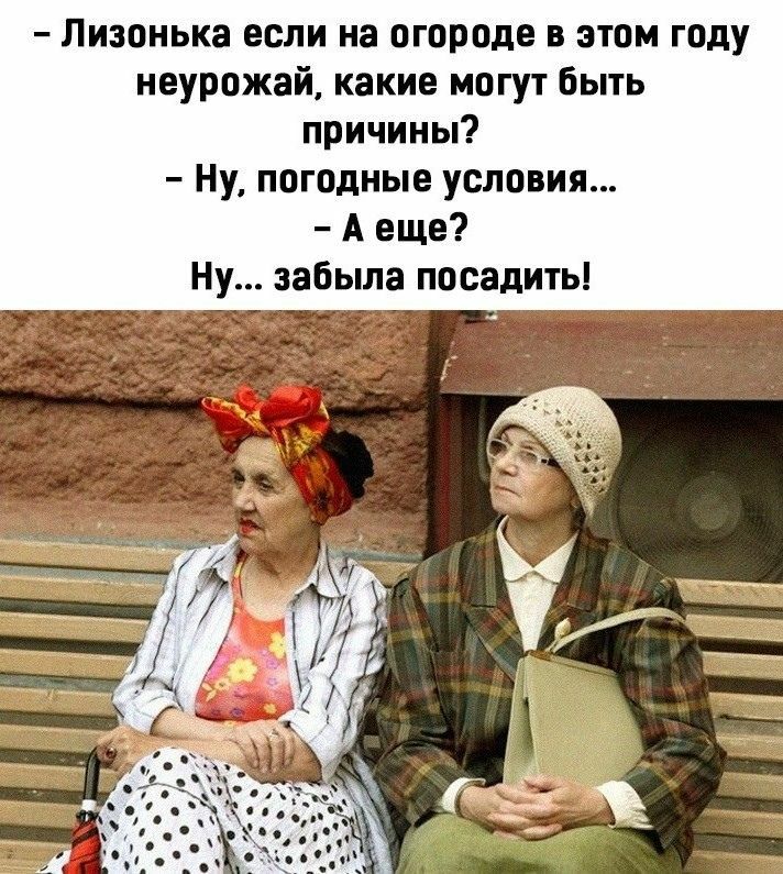 Лизонька если на огороде в этом году неурожай какие могут быть причины Ну погодные условия А еще Ну забыла посадить