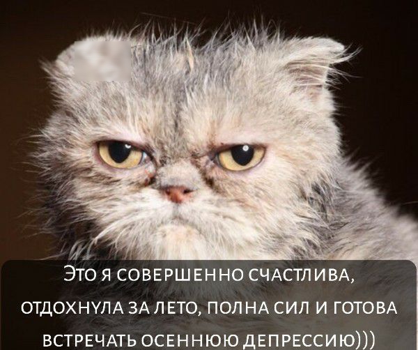 ЭТО Я СОВЕРШЕННО СЧАСТЛИВА отдохнум ЗА п вто пол НА сил и ГОТОВА ВСТРЕЧАТЬ освннюю дЕПРЕССИ ю