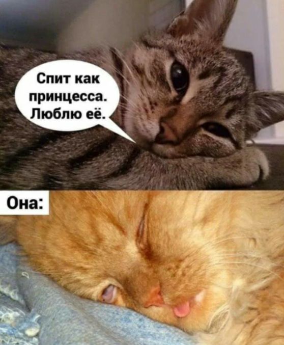 С пит как принцесса 1 Люблю её _