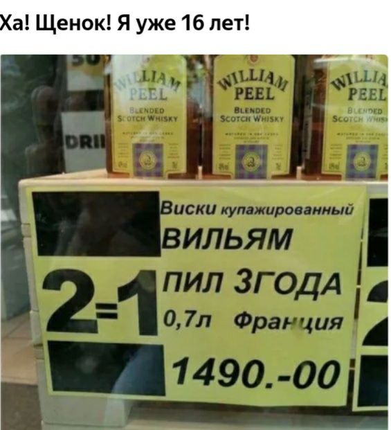 а Щенок Я уже 16 лет