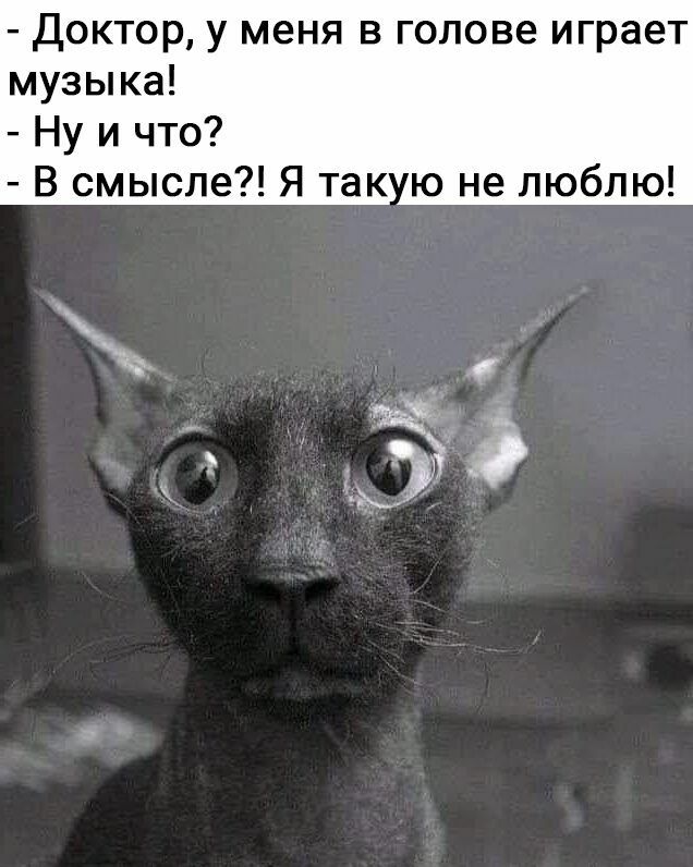 Доктор у меня в голове играет музыка Ну и что В смысле Я так ю не люблю