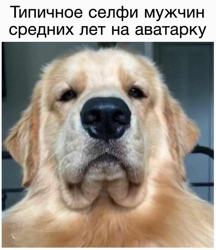 Типичное селфи мужчин средних лет на аватарку