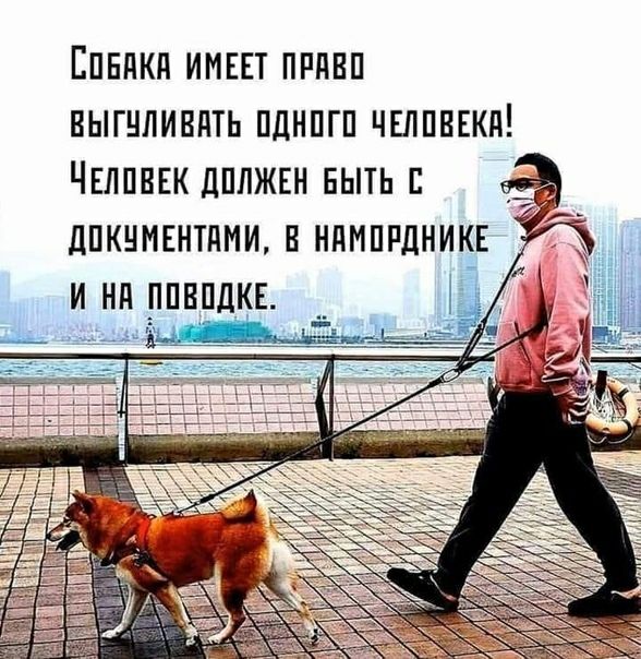 Епвдкд ИМЕЕТ ппдвп выгнпивдть пднпгп чвппнЕкд ЧЕЛПВЕК дппжвн ныть _ дпкнмвнтдминннмппдникн инд _ппвпдкв __