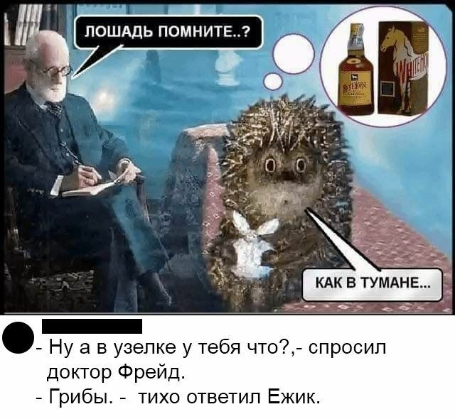 Ну а в узепке у тебя чт доктор Фрейд Грибы тихо ответип Ежик