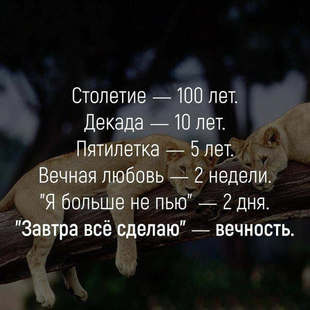Столетие 100 лет Декада 10 лет Пятилетка 5лет Вечная любовь 2 недели Я больше не пью 2 дня Завтра всё сделаю вечность