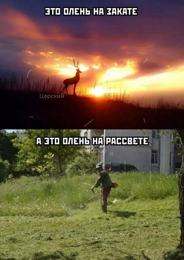 ЭТП ППЕНЬ Нд ПКПТЕ ___ т___ А эти плвнь нд пипсвітЁ А