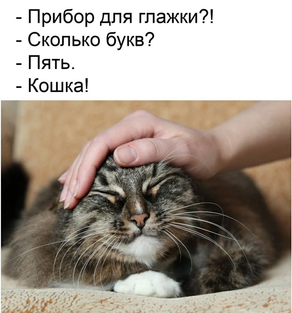 Прибор для глажки Сколько букв Пять Кошка