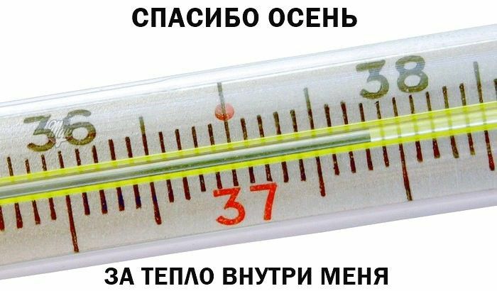 СПАСИБО ОСЕНЬ ЗА ТЕПАО ВНУТРИ МЕНЯ