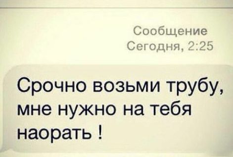 Сообщение С щим 725 Срочно возьми трубу мне нужно на тебя насрать