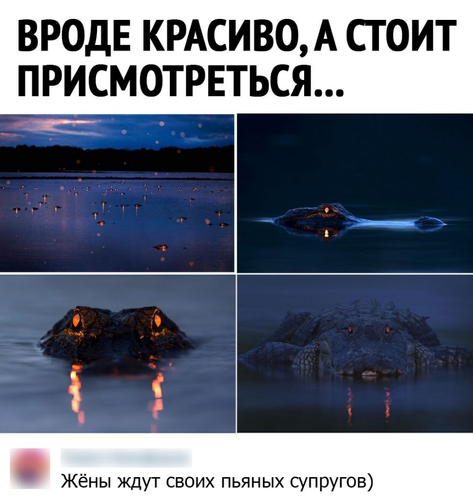 ВРОДЕ КРАСИВО А СТОИТ ПРИСМОТРЕТЬСЯ Жёны ждут своих пьяных супругов