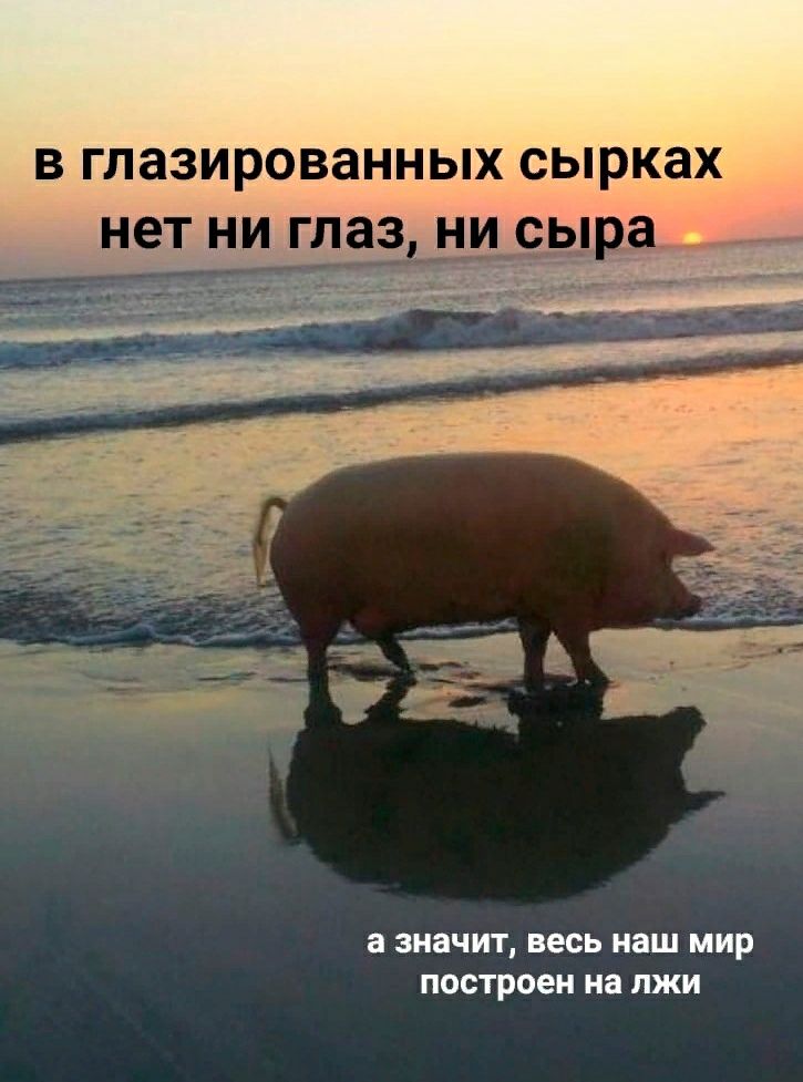 В ГЛЗЗИРОВЭННЫХ СЫРКЭХ нет НИ глаз НИ _ _ Ь а 3НЭЧИТ весь наш МИР построен на ЛЖИ