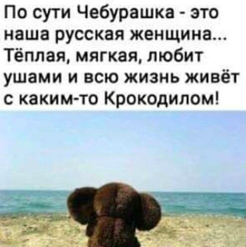 По сути Чебурашка это наша русская женщина Тёплая мягкая любит ушами и всю жизнь живёт с каким то Крокодилом