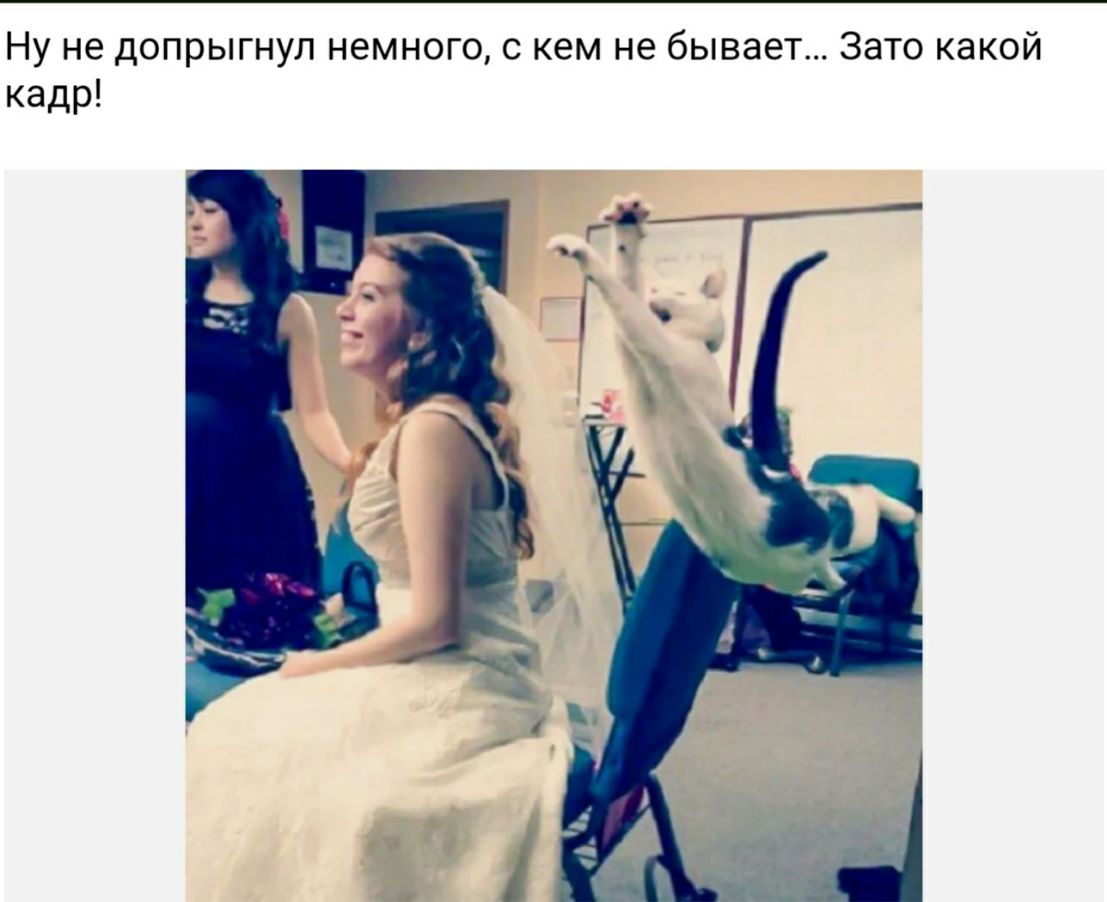 Ну не допрыгнул немного с кем не бывает Зато какой кадр