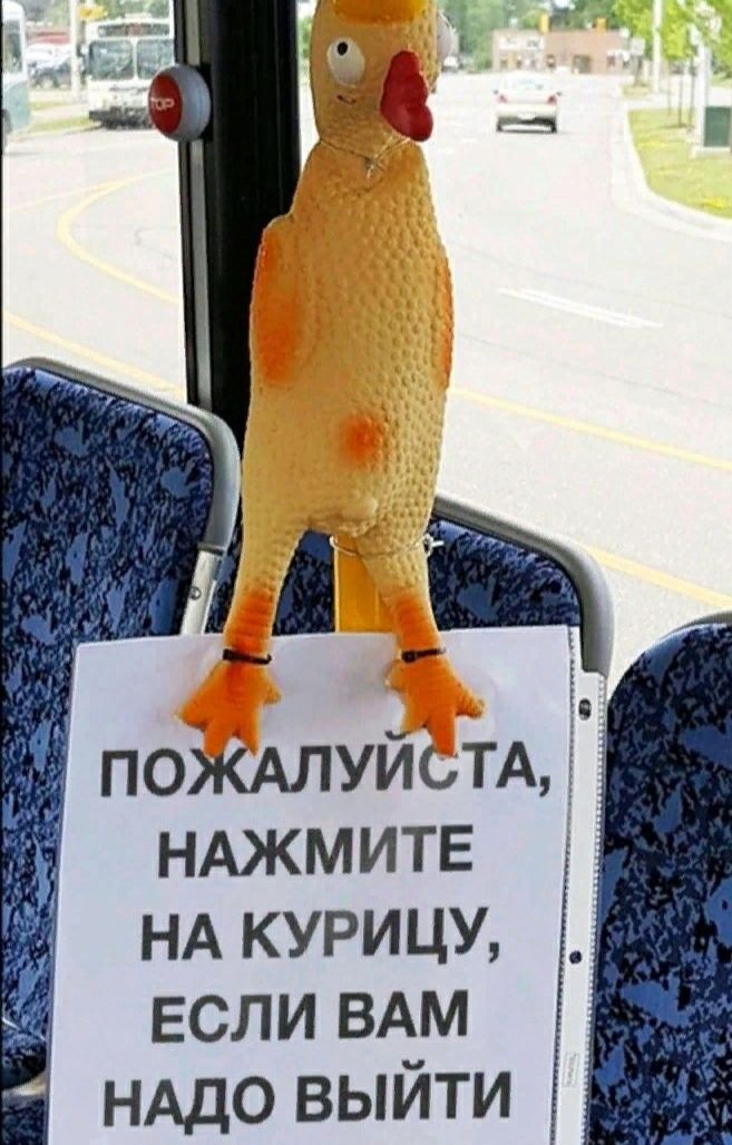 НА курицу если ВАМ НАДО выйти
