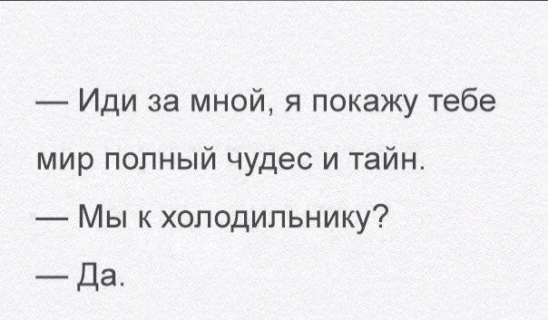 Иди за мной я покажу тебе мир полный чудес и тайн Мы к холодильнику Да