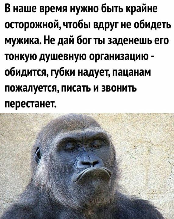 В наше время нужно быть крайне осторожной чтобы вдруг не обидеть мужика Не дай бог ты заденешь его тонкую душевную организацию обидится губки надует пацанам пожалуется писать и звонить перестанет