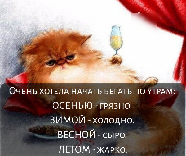 Очвн ь ХОТЕЛА НАЧАТЬ БЕГАТЬ по УЕРАМ ОСЕНЬЮГРЯЗНО ЗИМОЙ хоподно_ ВЕСНОЙ сыро ЛЕТОМ КАРКО