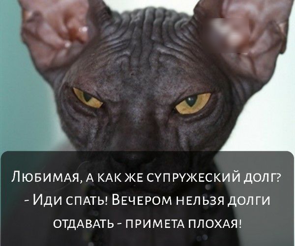 ЛЮБИМАЯ А КАК ЖЕ суп РУЖЕСКИЙ долг Иди СПАТЬ ВЕЧЕРОМ НЕЛЬЗЯ долги ОТДАВАТЬ ПРИМЕТА ПЛОХАЯ