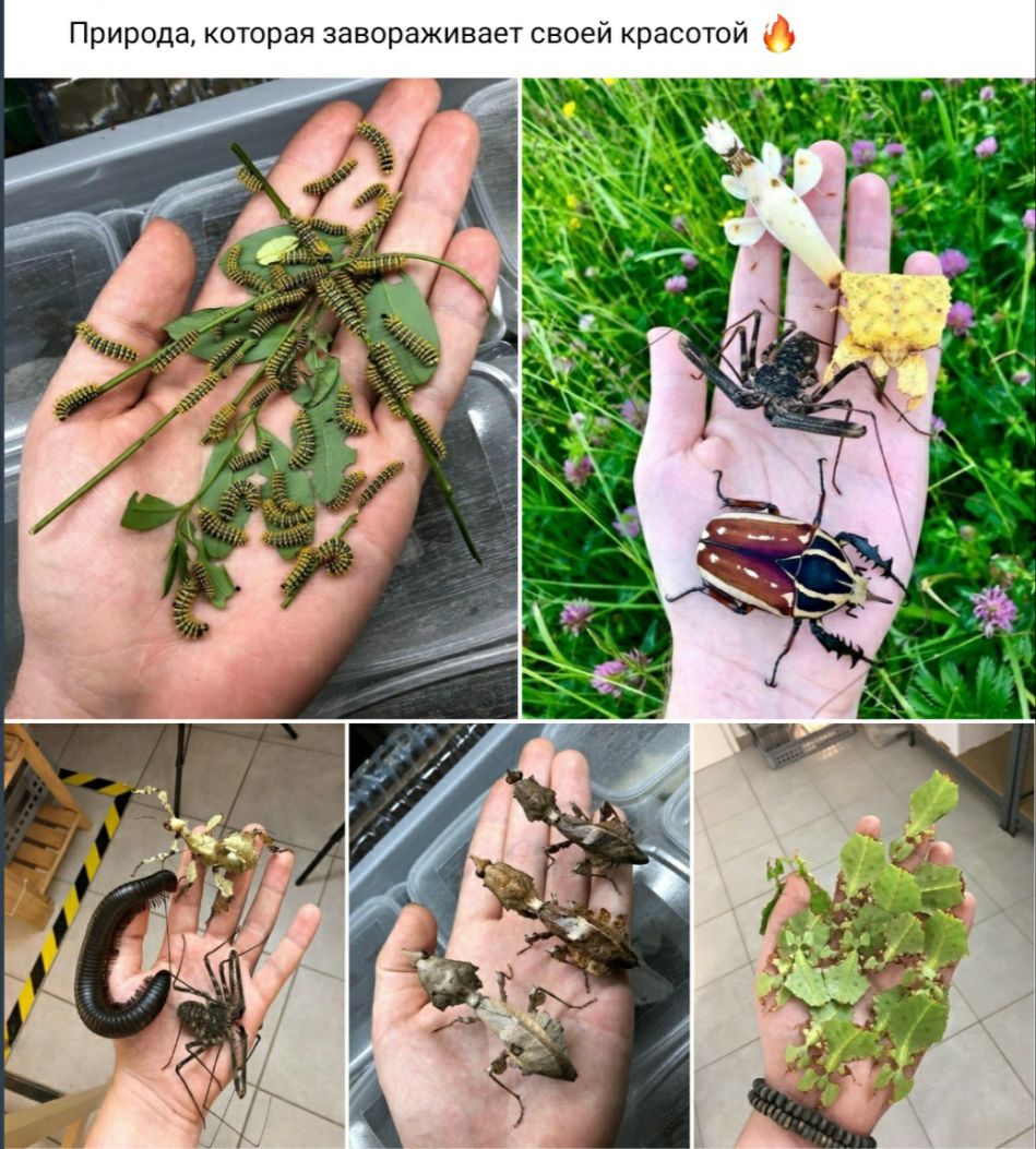 Природа которая завораживает своей красотой