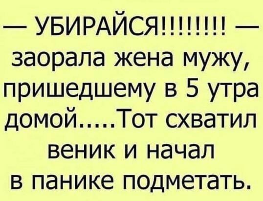 УБИРАЙСЯ заорала жена мужу пришедшему в 5 утра домой Тот схватил веник и начал в панике подметать
