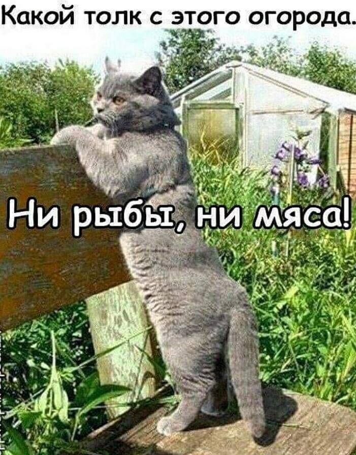 Какой толк с этого огорода Сп