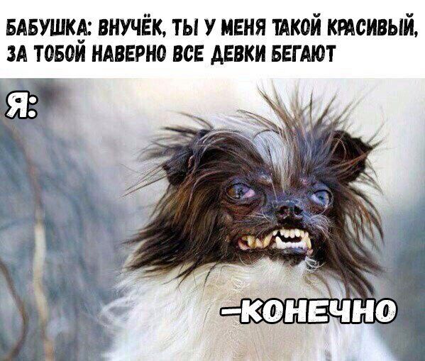 вдвушкд внучёк ты у меня ТАКОЙ ктоивый зд товои НАВЕРНО все девки ввгдют