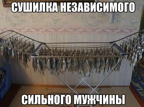 ги УШИПИА ИЕЗПВИВИМВЮ сипьнпгошишчины