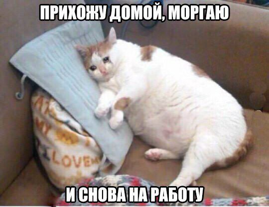 прийти доТлбйімоггдю