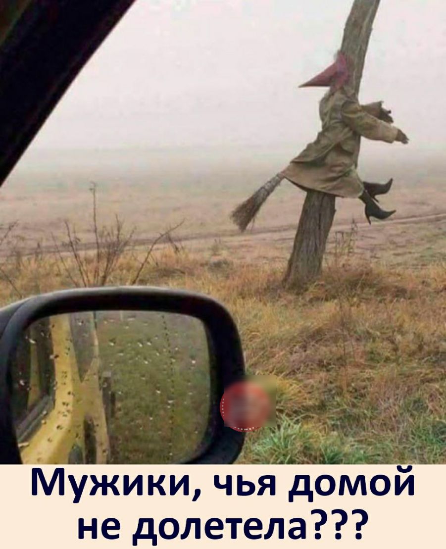 Мужики чья домой не долетела