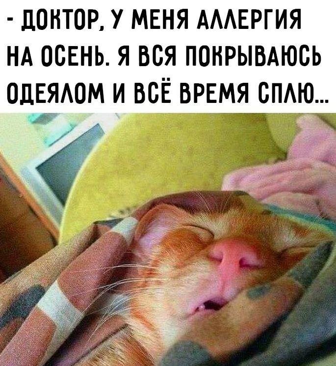 донтор у меня АМЕРГИЯ НА осень я вся понрымюсь ОДЕЁМОМ и всЁ врнмя спдю