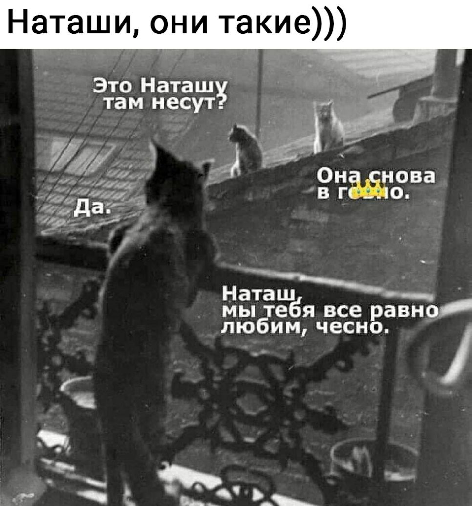 Наташи они такие Это Наташ там несут _ _ _ _ Он нова да55223 в гипс Ъйцдаі __ 191 71 _ Нага мы тебя все равно любим чесно Г