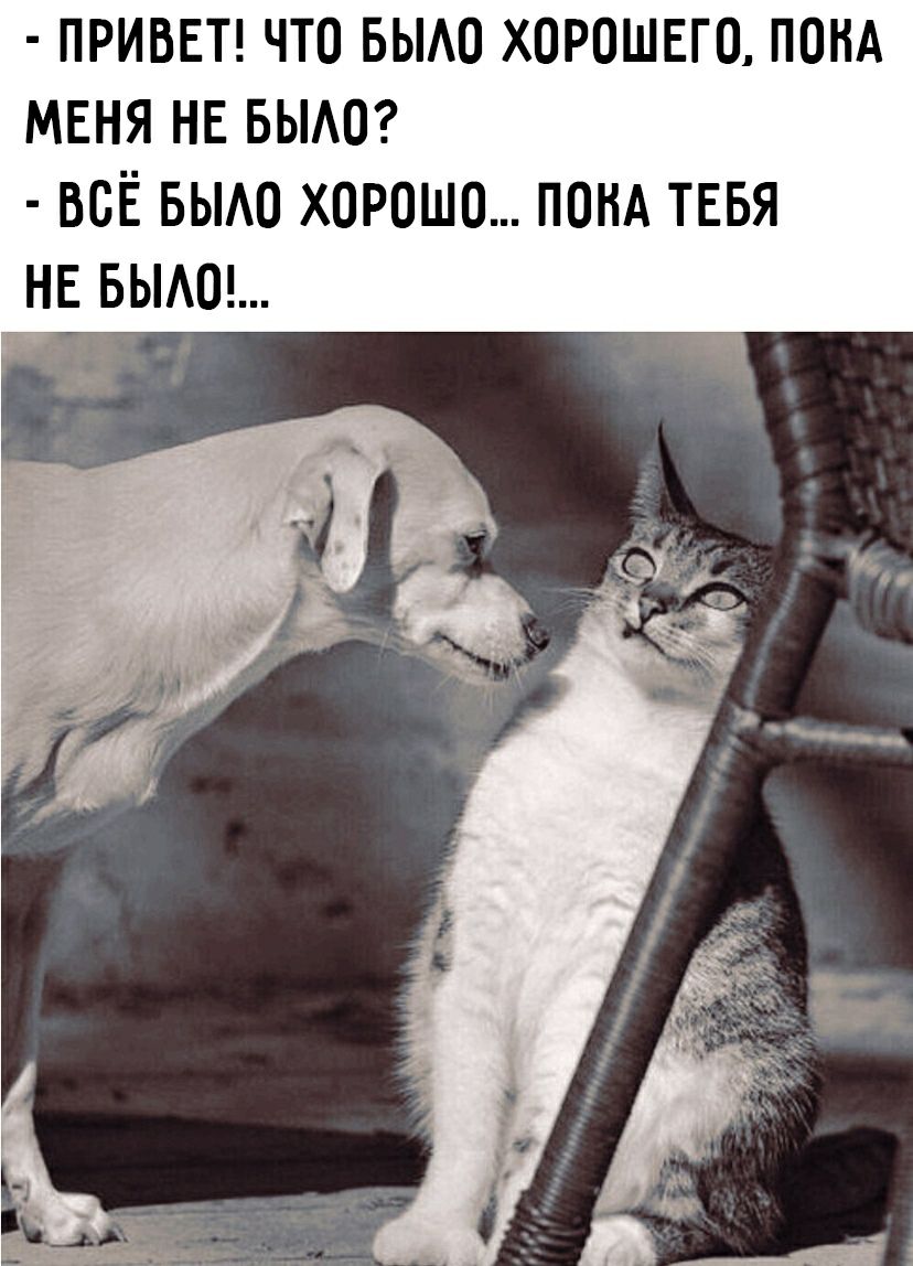 ПРИВЕТ что вьмо ХОРОШЕГО пом МЕНЯ НЕ БЫАО ВСЁ БЫАО хорошо понд ТЕБЯ НЕ выми