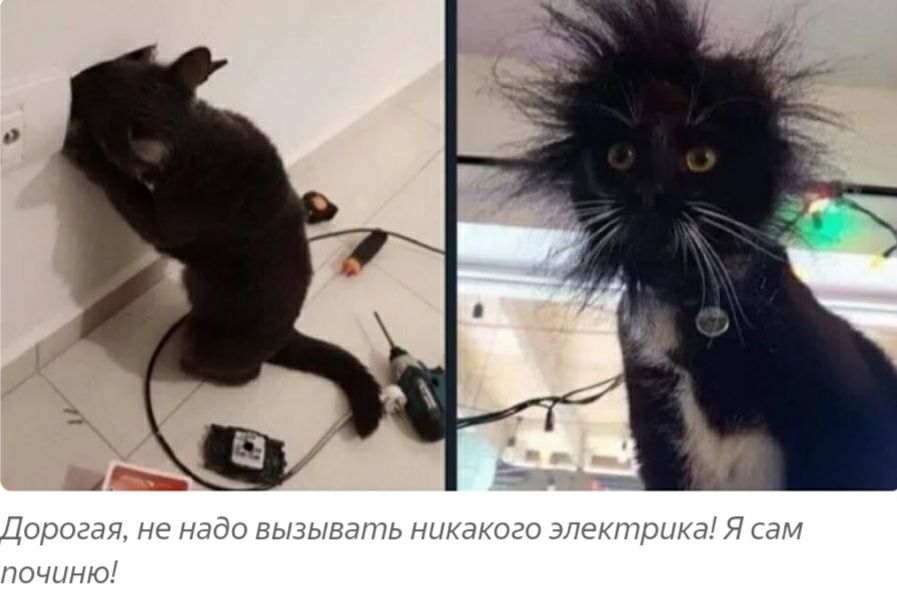 Дорогая не надо вызывать никакого электрика Я ам почынюз