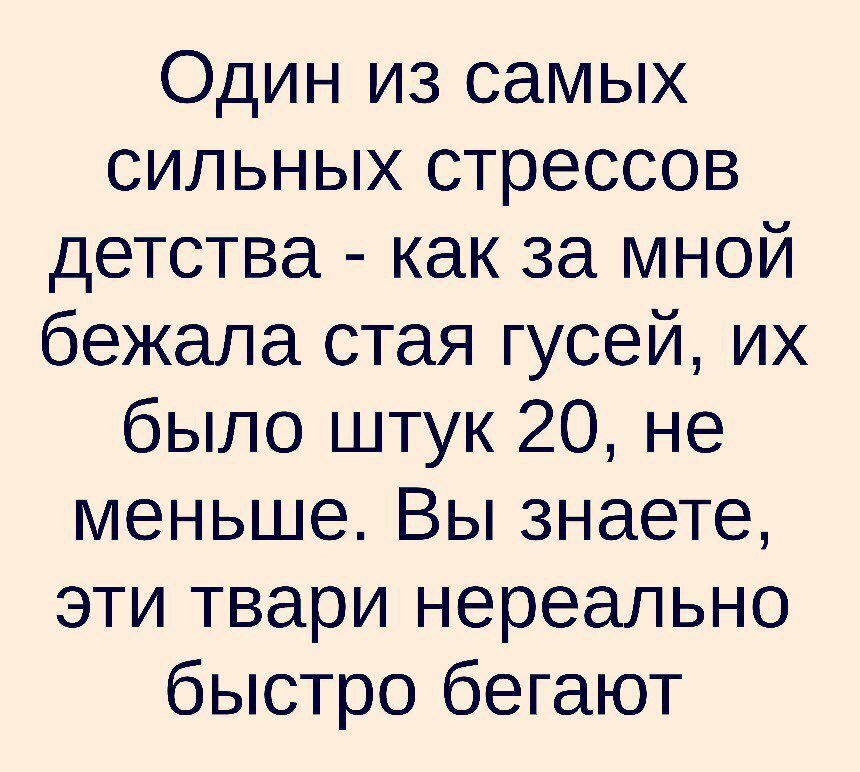 Один из самых сильных стрессов детства как за мной бежала стая гусей их было штук 20 не меньше Вы знаете эти твари нереально быстро бегают
