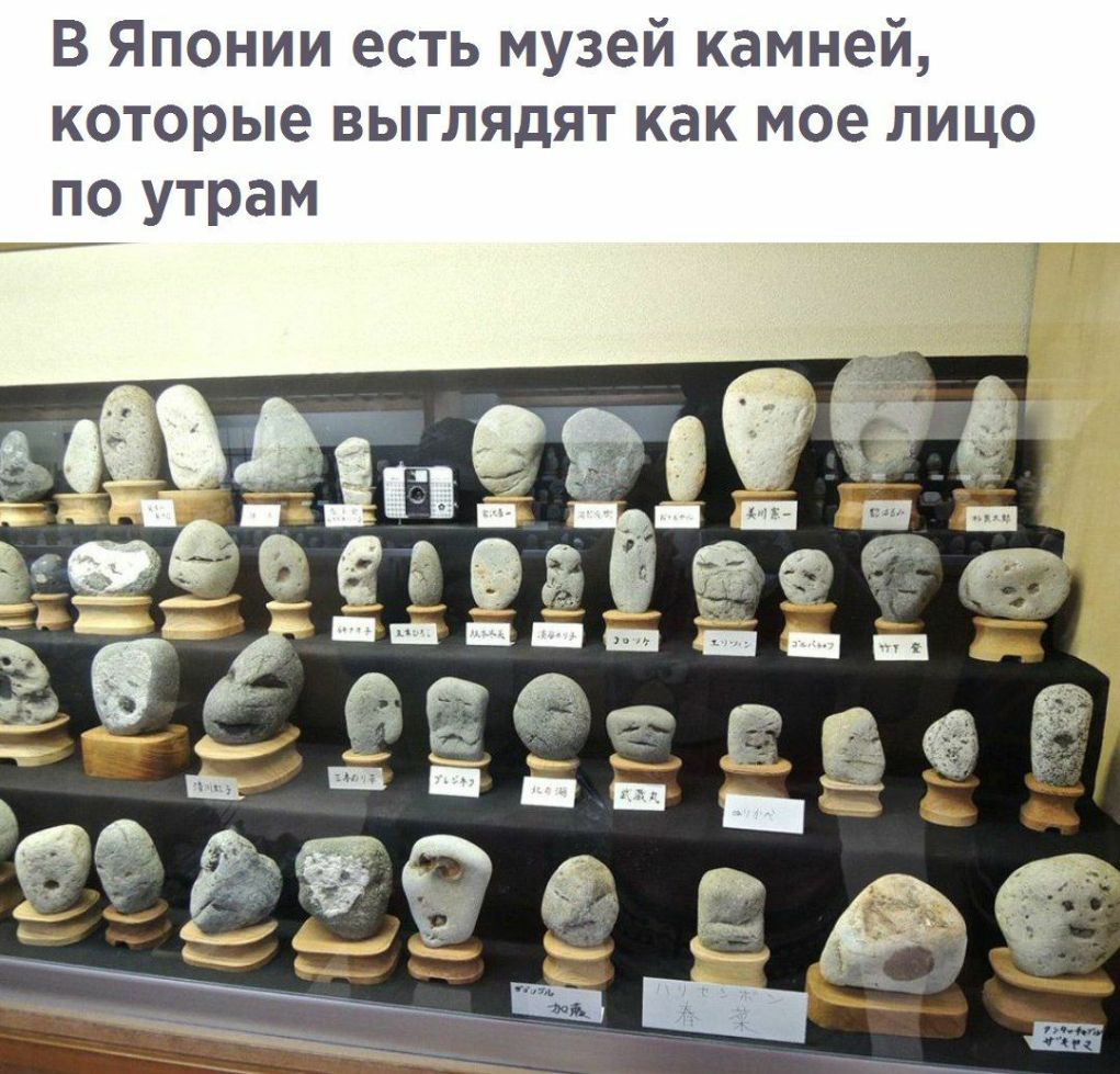 и и е 3 У М Ь Т С 6 И И Н О П я В и камнеи О Ц И Л е 0 М К а К Т я д Я Л Ь В ю Ь р 0 Т О К М а О Т у 0 П