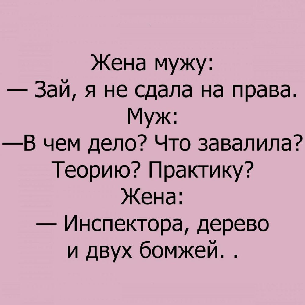 Жена мужу Зай я не сдала на права Муж В чем дело Что завалила Теорию Практику Кена Инспектора дерево и двух бомжей