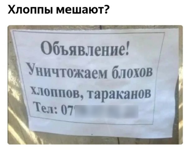 Хпоппы мешают Объявление Уничтожаем блохов Шашков тараканов Тел 07 о