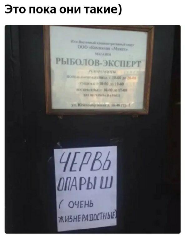 Это пока они такие